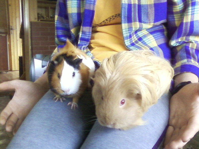 Chico a Andy